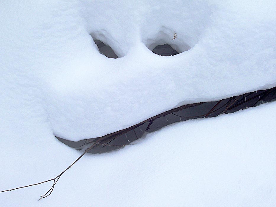 masyanya.reinkarnatsiya.