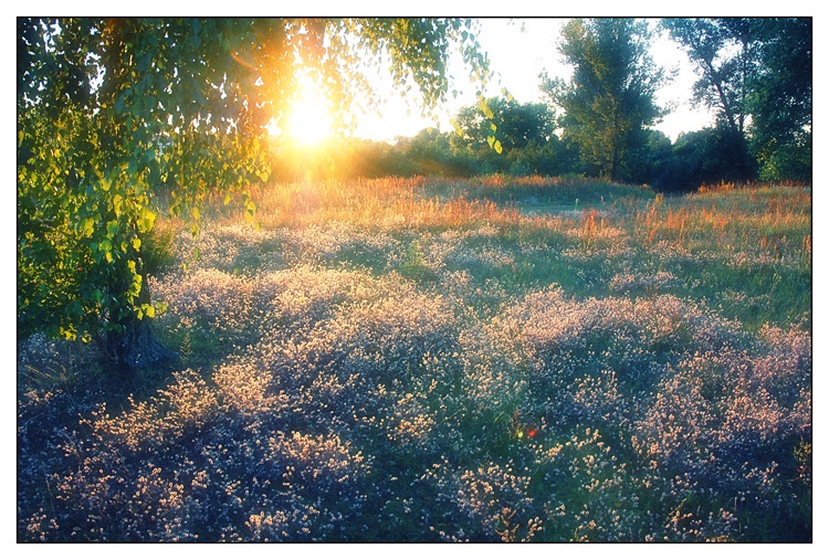 Nacht auf dem Friedhof ...