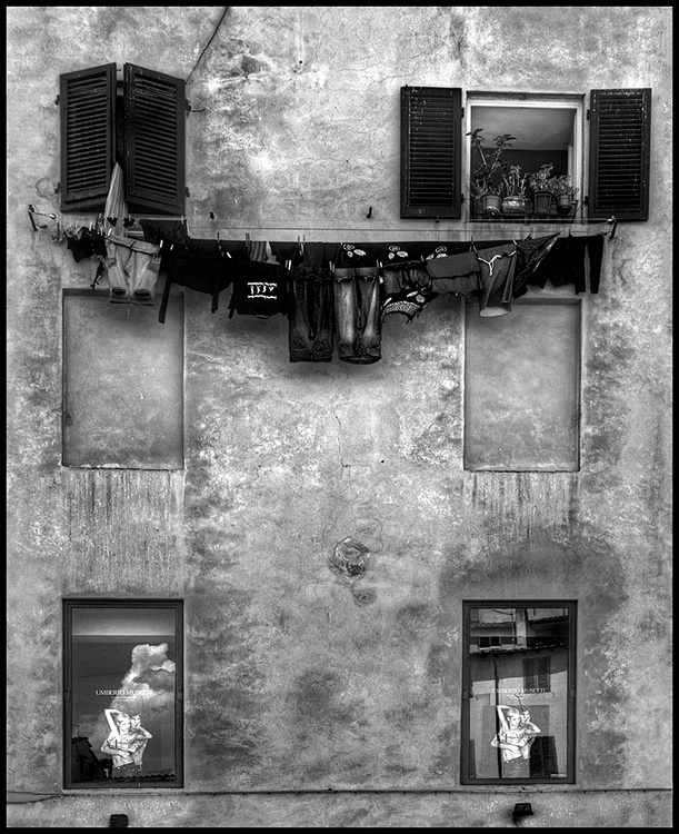 ...........................