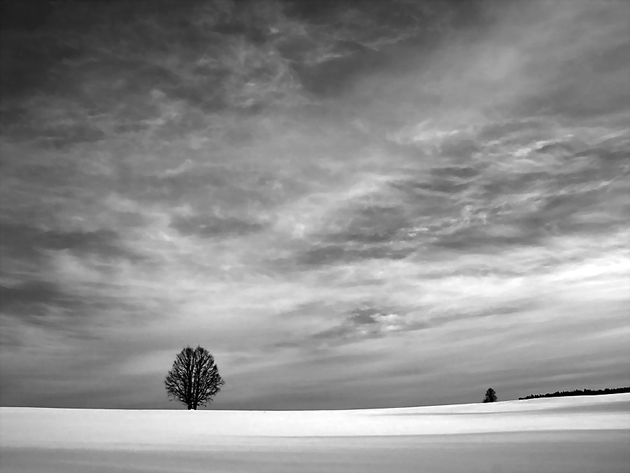 zwischen den Schnee und Himmel