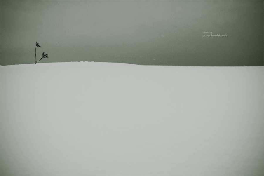 [Schneesturm. In einsamen Stolz}