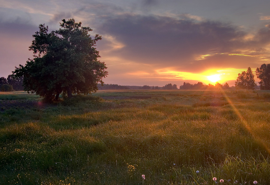 Dämmerung über Polesie