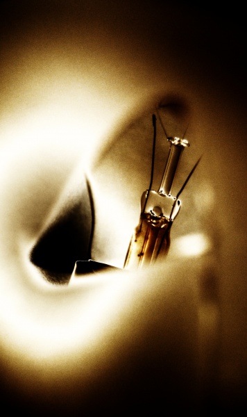 Und doch ... Licht und Dunkel sind eins.