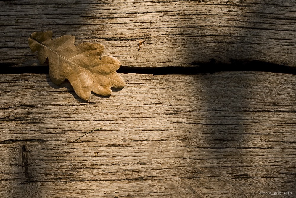 Aalen Sie sich auf die Bank