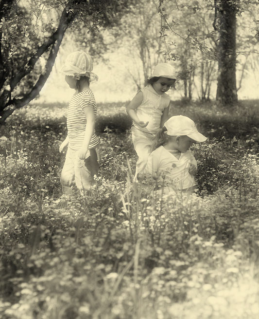 ... Beeren, Blumen ...