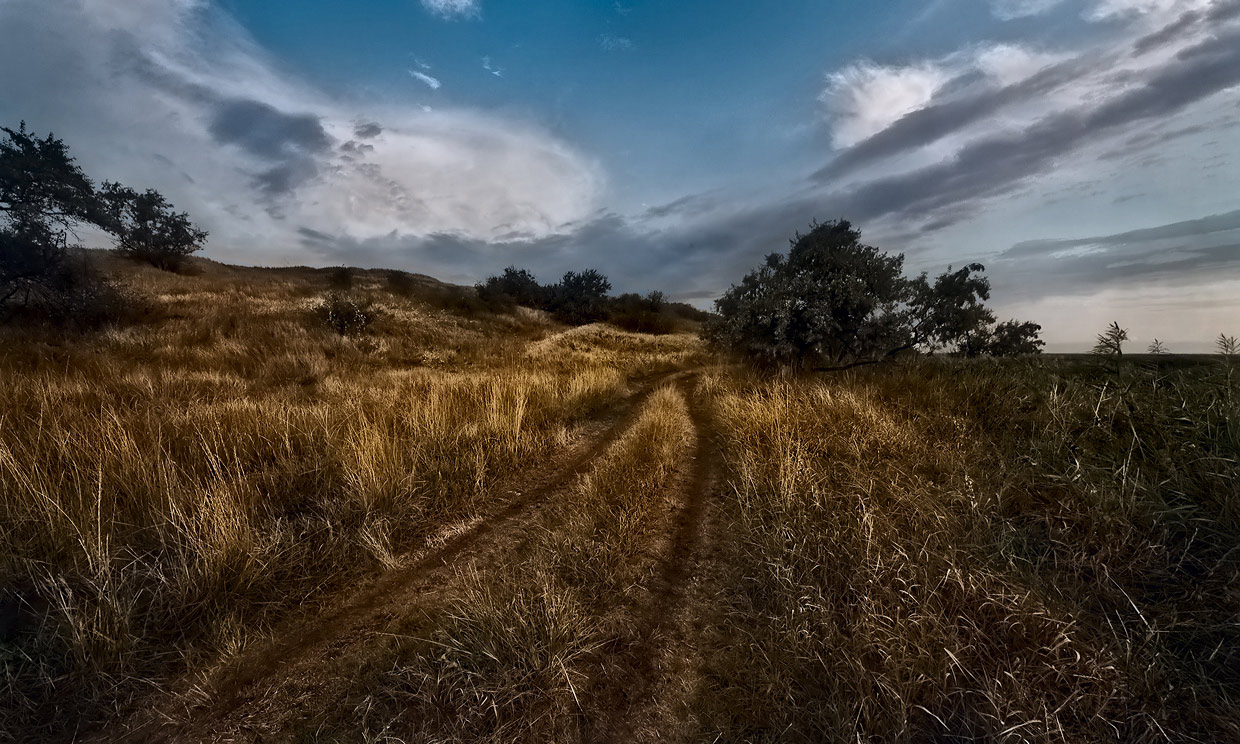 Steppe peyzazh.Pered Morgengrauen
