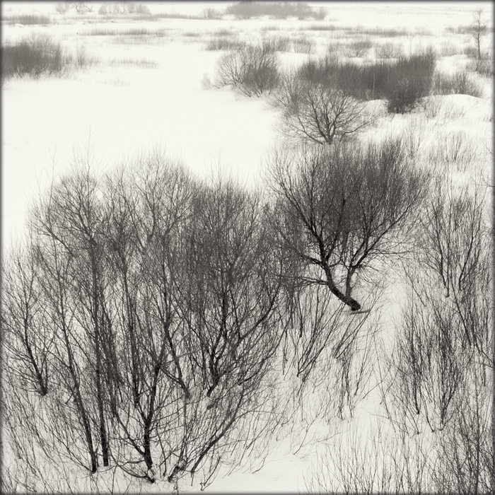 Winter an der Beresina