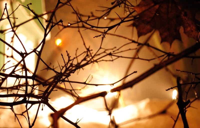 Shining das Licht ...