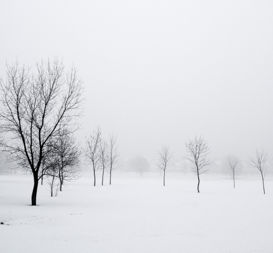 Nebel des Winters