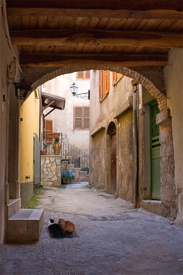 * D bei etwa p und k *