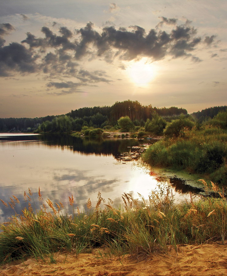 Berezinsky Karriere ...