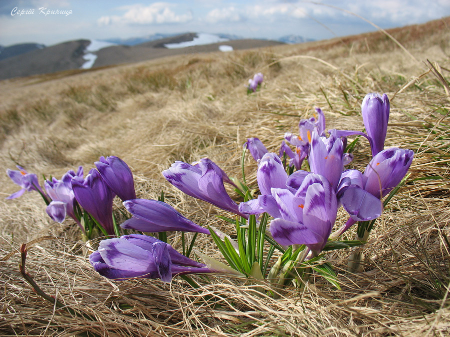 Am ersten Tag des Frühlings