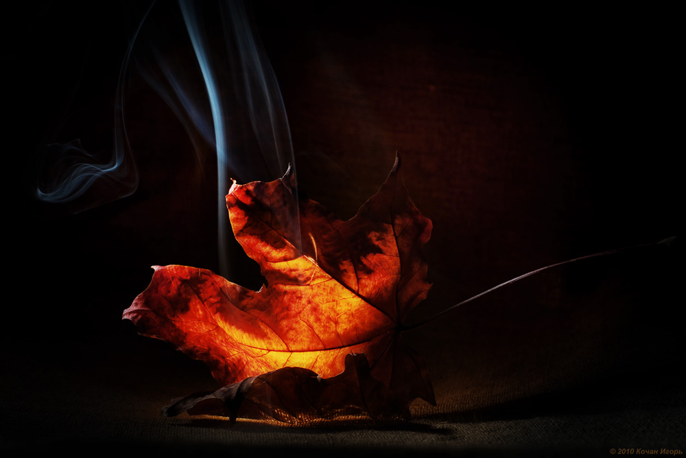 Herbst Geheimnis. Fever