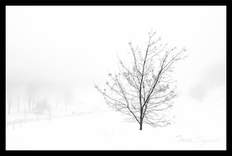 Winter Nebel