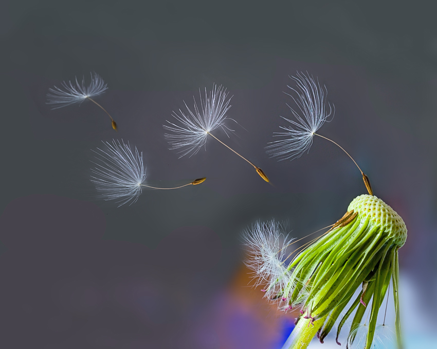 Uletli, so sei es ...