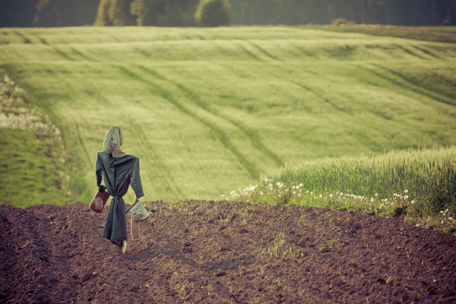 Rostra warten Togo edinstvennogo