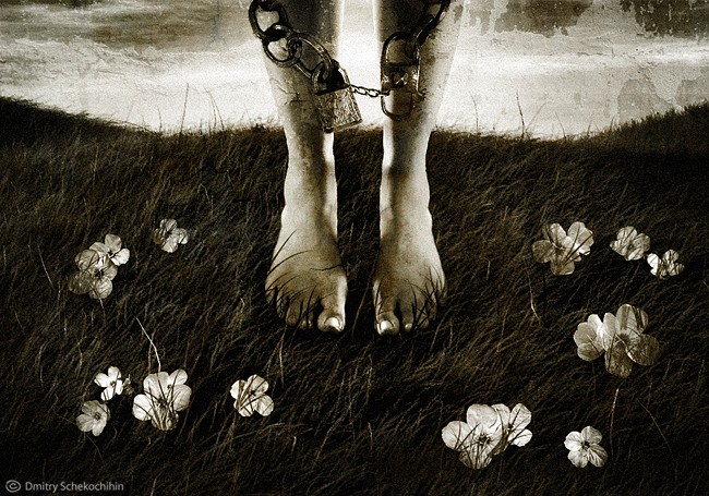 Path Of The Primroses