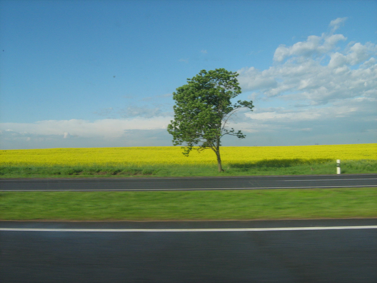 Field ... auf dem Gebiet der weißrussischen ...