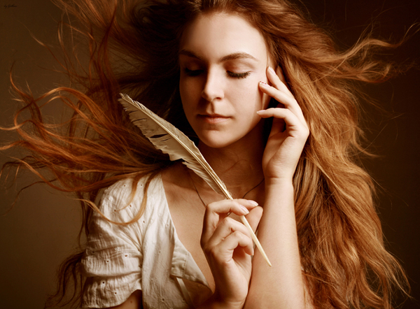 Porträt von Vögeln