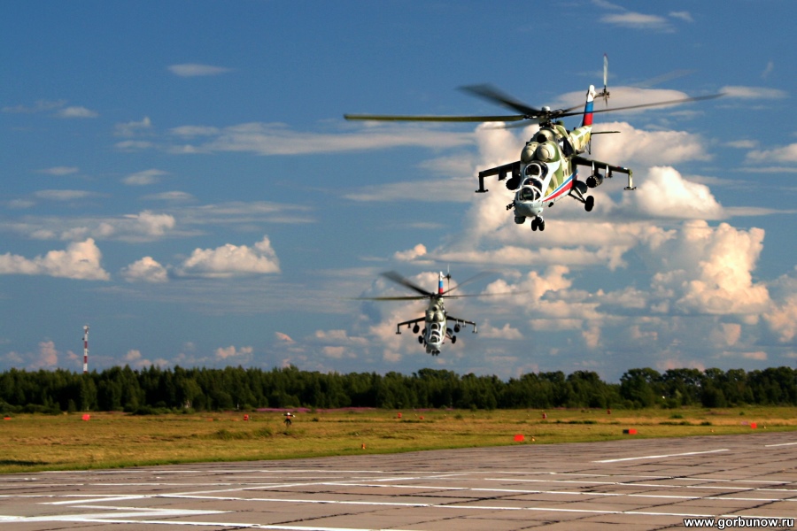 Krokodile, vorwärts!