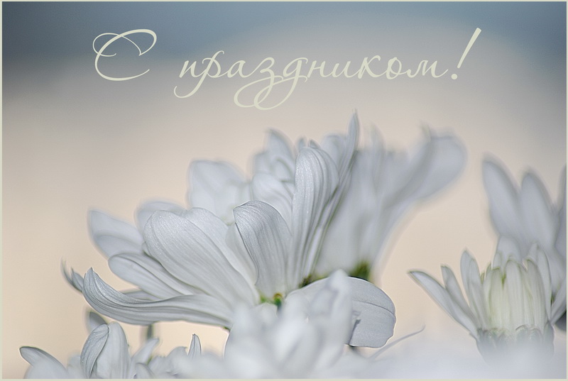 Herzlichen Glückwunsch!