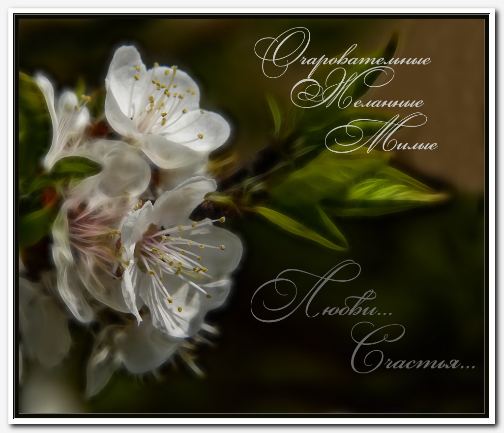 Glückwunschkarten ...