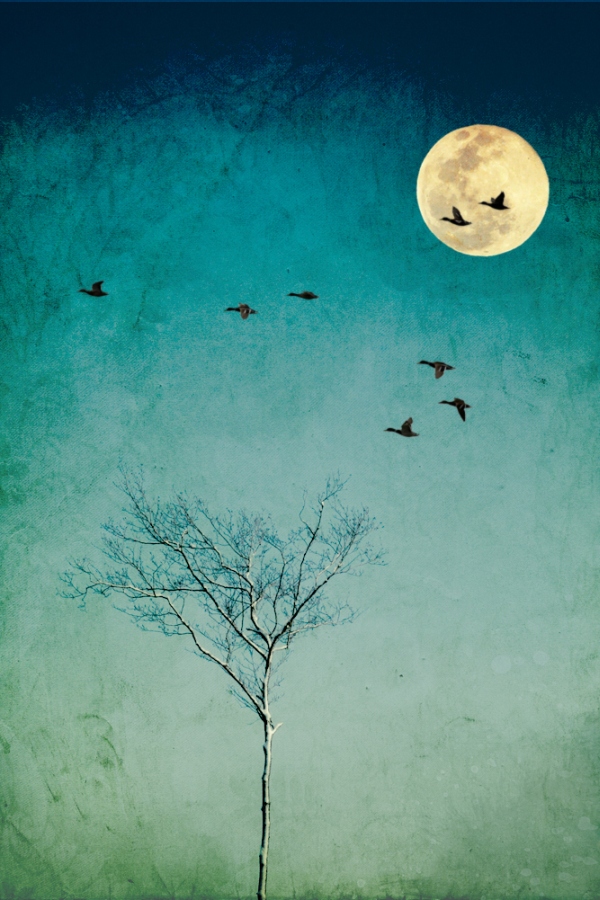 They Are Coming Back