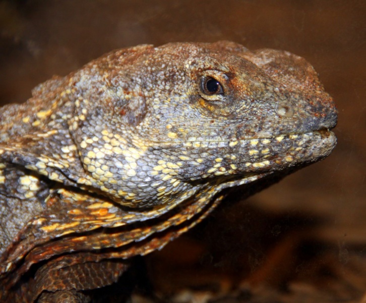 Ein Blick aus der Vergangenheit