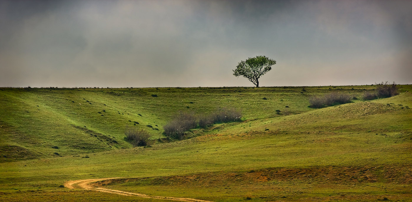 Irgendwo auf der Krim