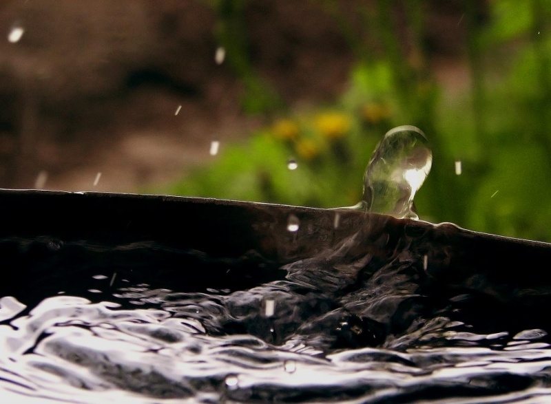 Es tut mir leid ich gehe