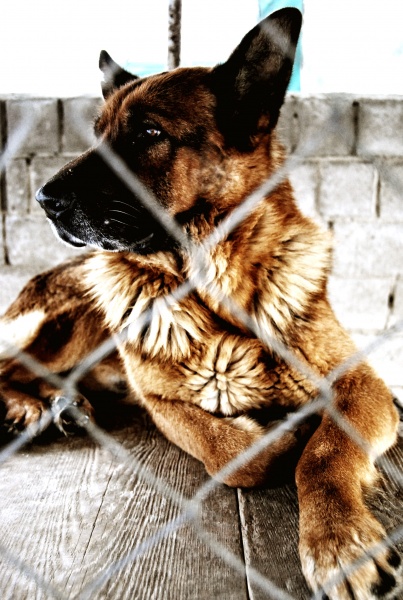 Ich sehe, was du nicht siehst du ...