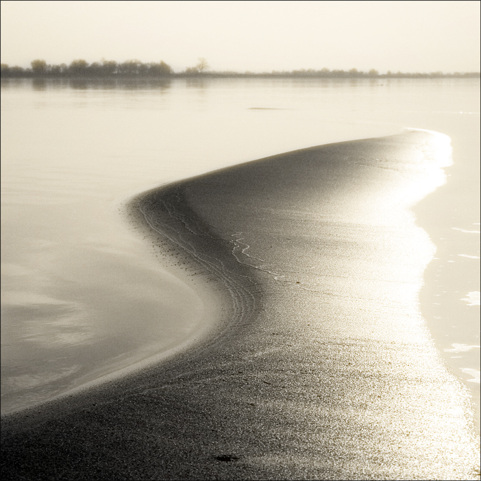 Einzelkämpfer Flügel