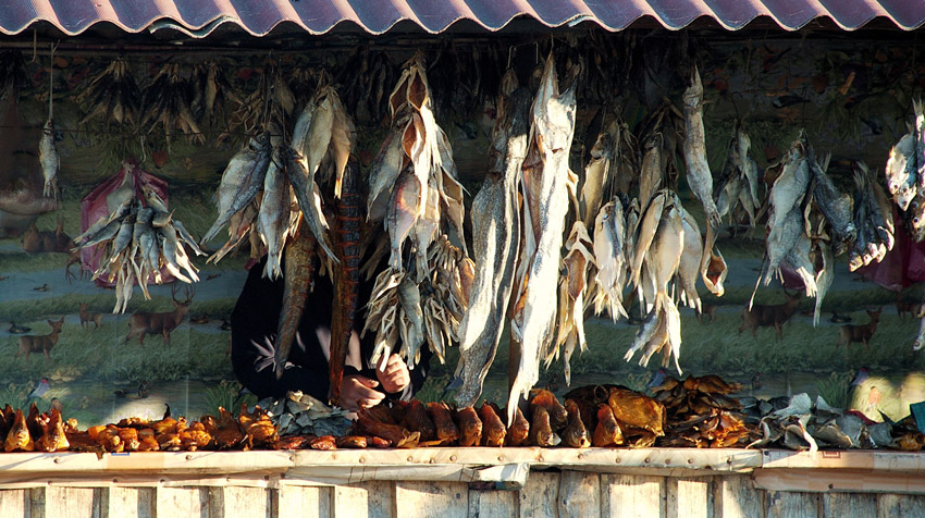 Jeden Tag - Fische ...