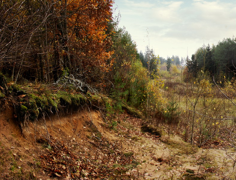 Geprägte Motive ....