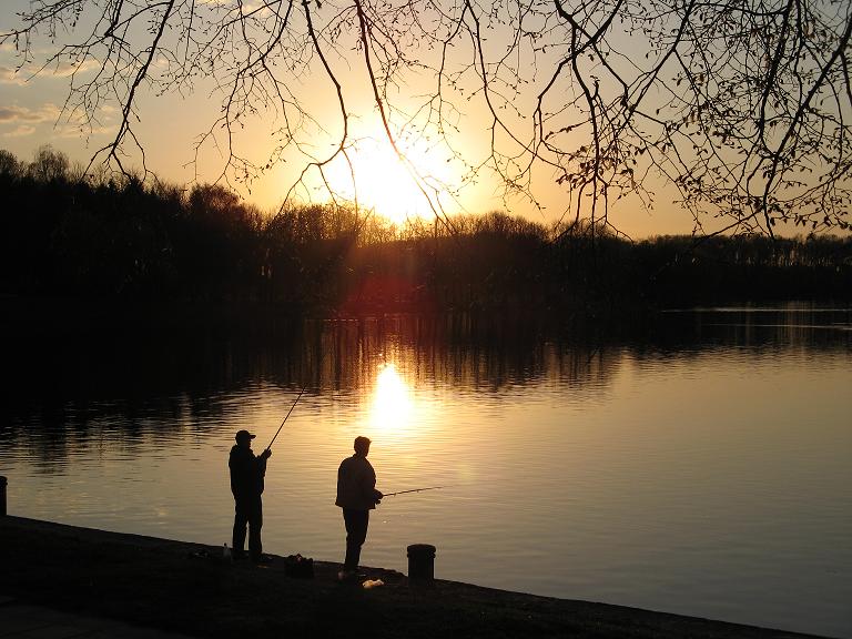 kleine Ecke der Natur