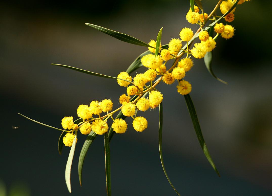 Der Frühling ist da!