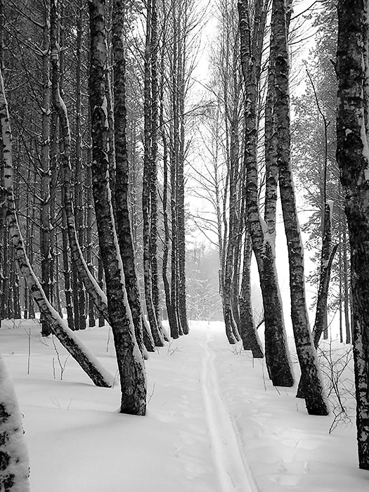 Ausgehend Winter gewidmet ist ...