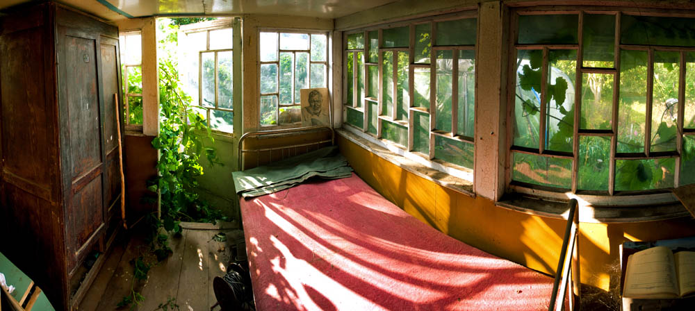 Hemingway und Brombeere (repost)