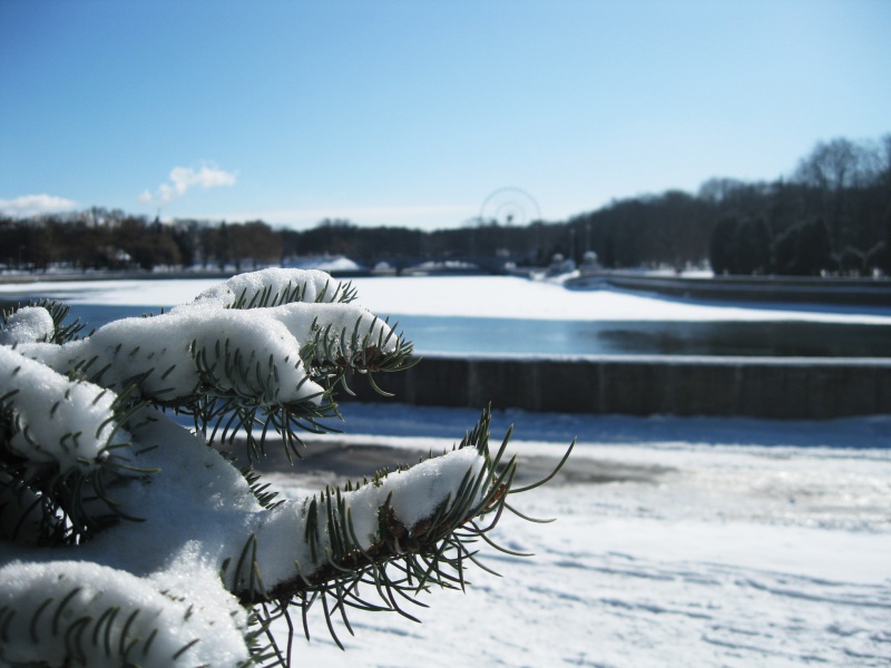 Der Frühling kommt ...