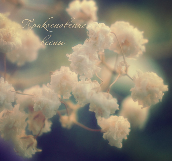 Hauch von Frühling ....