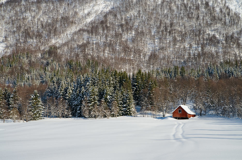 Das Leben unter dem Berg