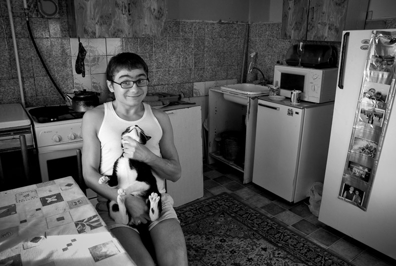 Portrait einer Katze