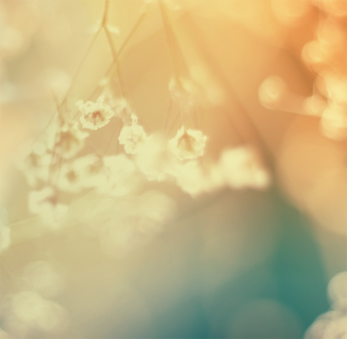 Schließen Sie die Augen ...