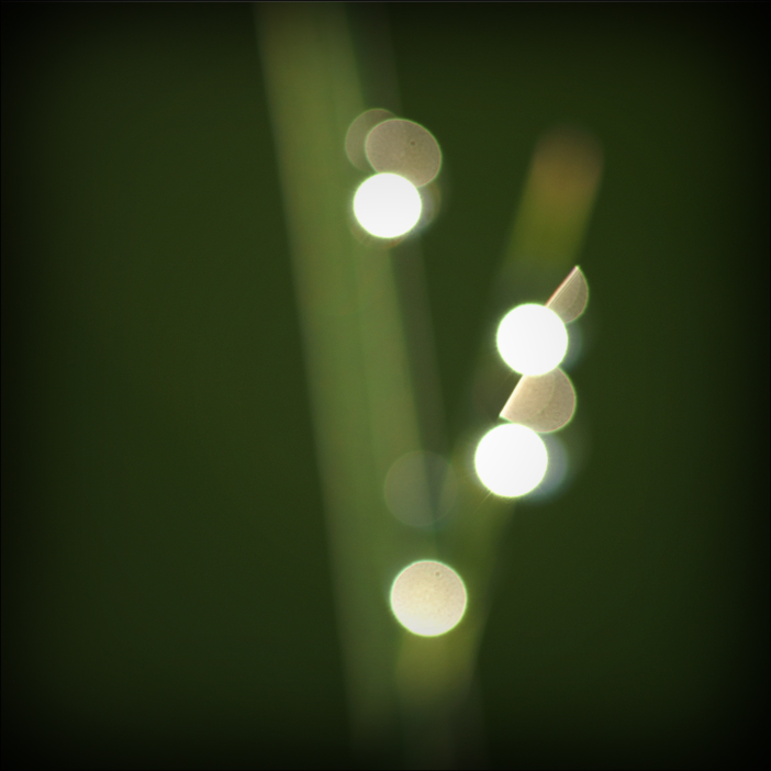 Karte ohne Schwerpunkt (e)