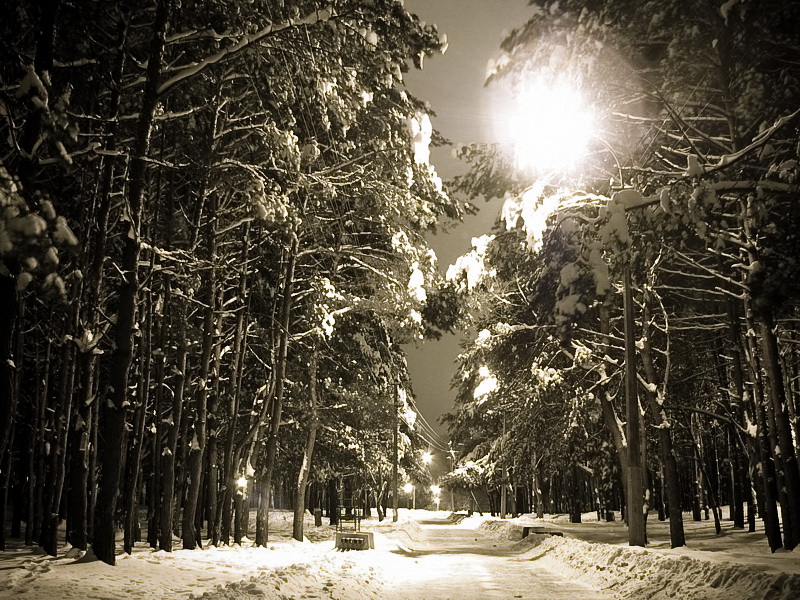 Winter Park bei Nacht ...