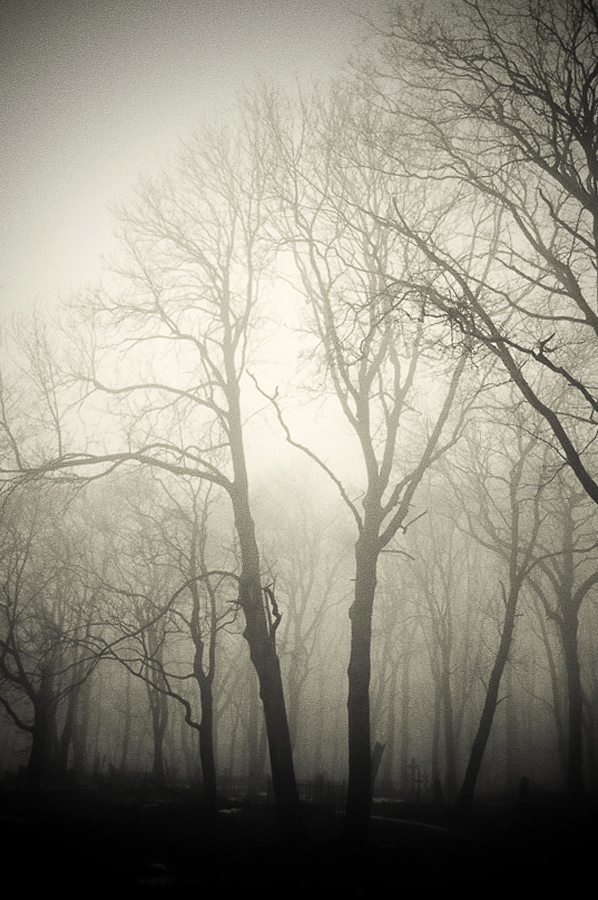 - T U M A N N O `e -