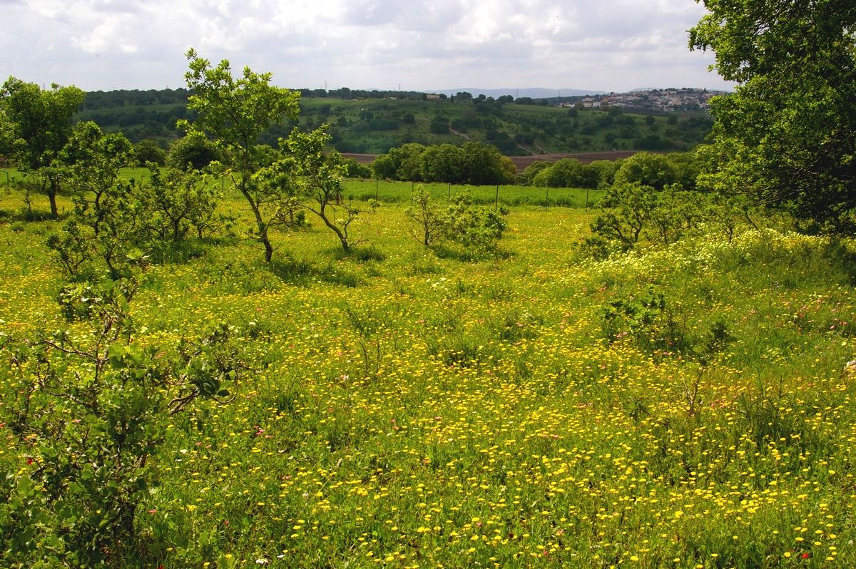 auf der nördlichen Gebirge