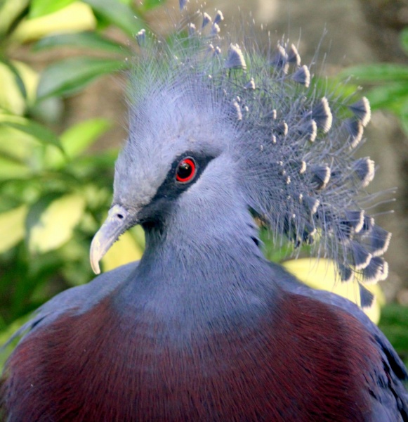 Frisur. Um den Neid der modische Frauen.