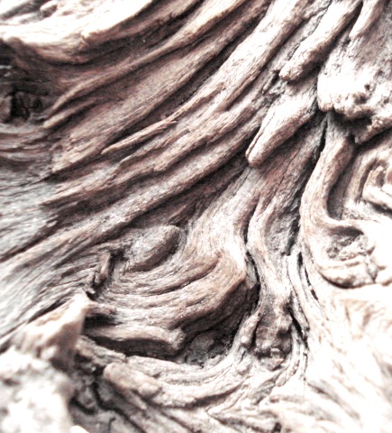 Chalavek, Yak i dreva ..