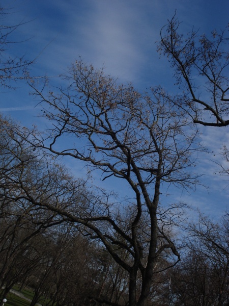 Höher und höher und höher ...